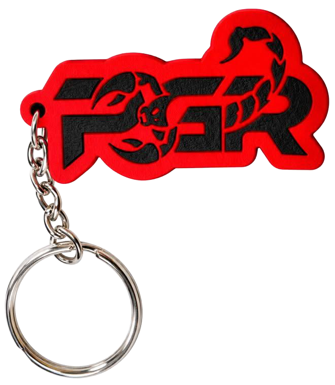 Scorpion Keychain
